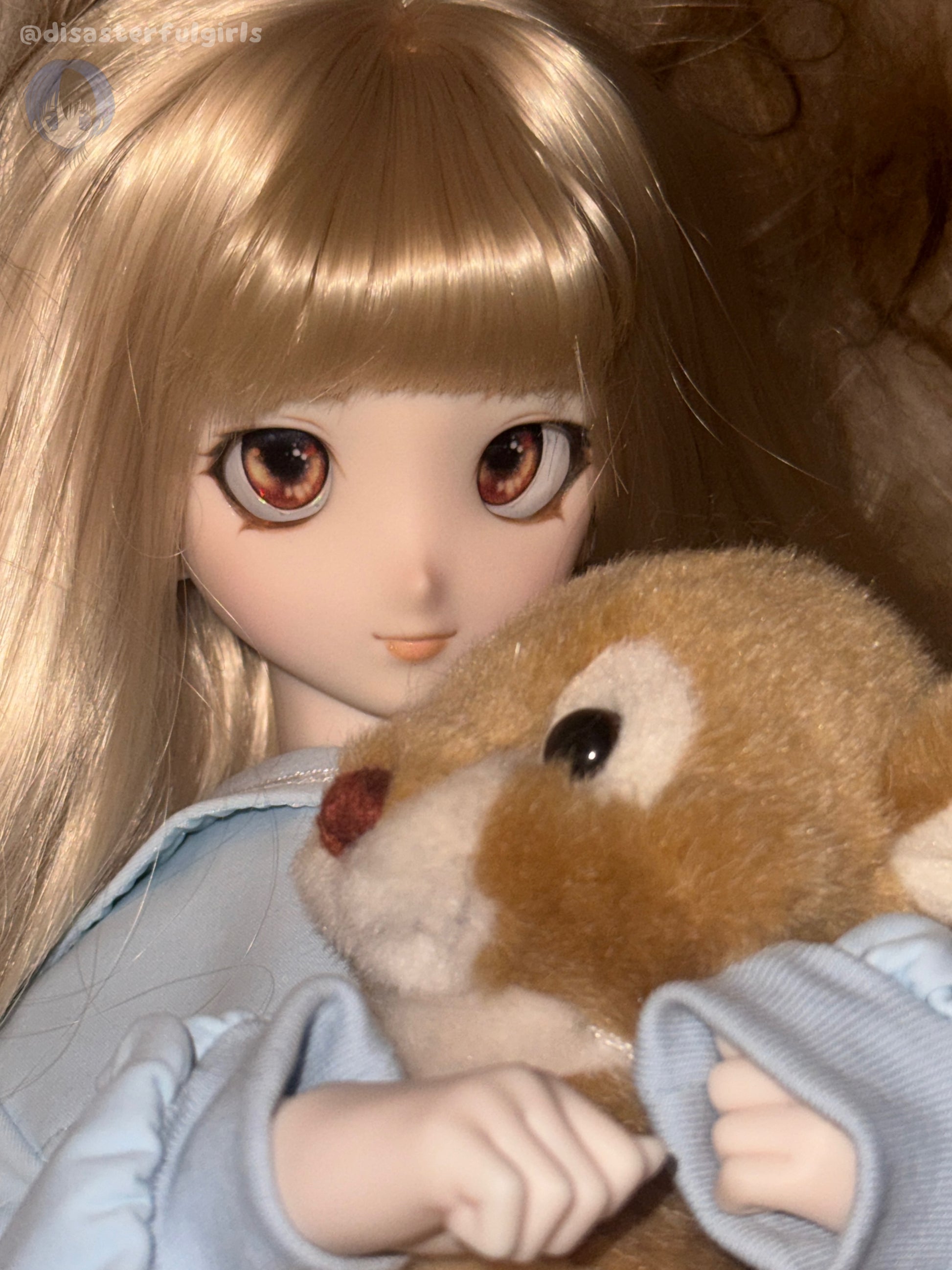 Dollfie Dream Commission