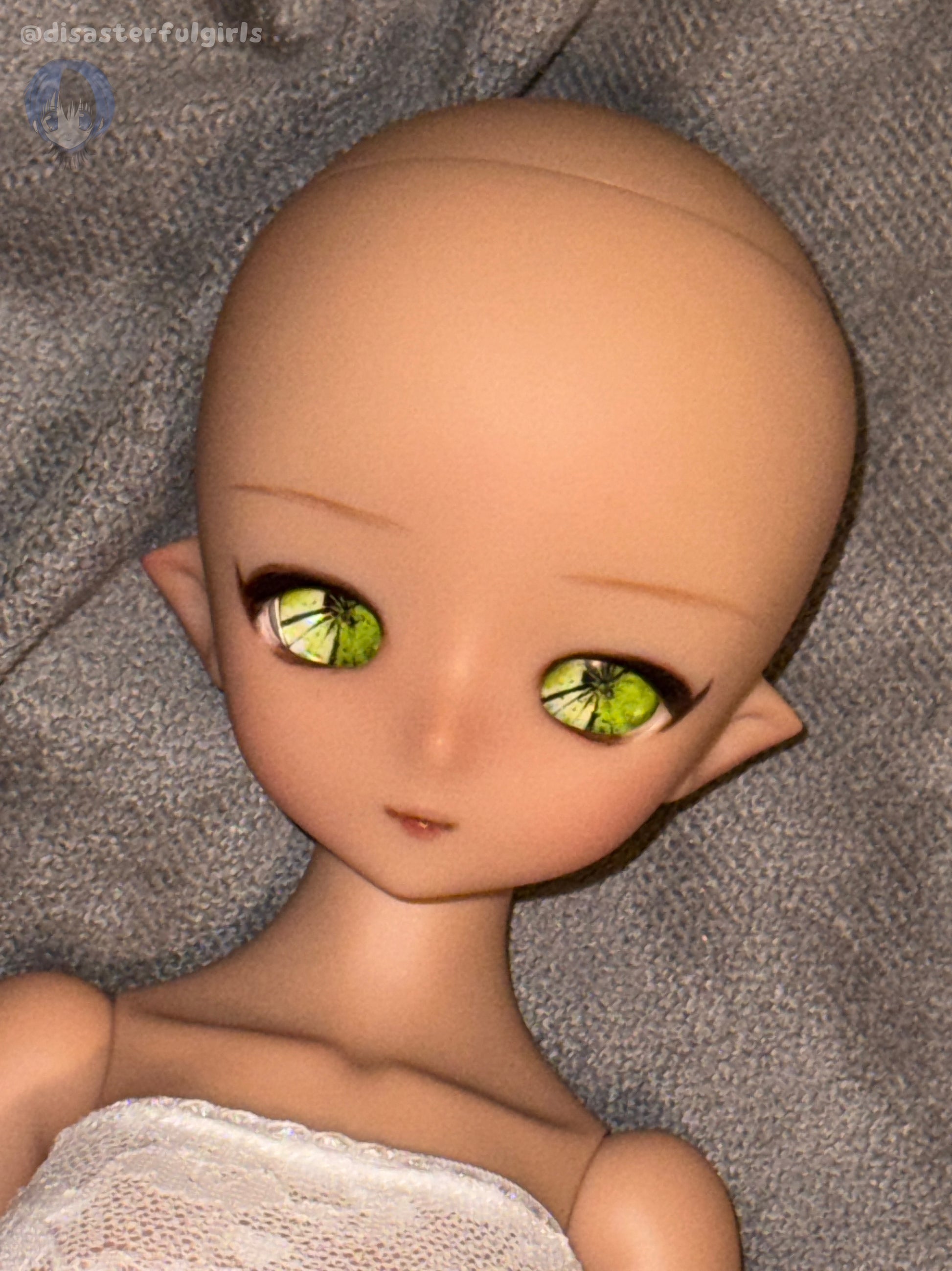 SOLD OUT!! OOAK Imomodoll Mie/Mimi Rabbit L size bust Chocolate 1/4 scale full doll